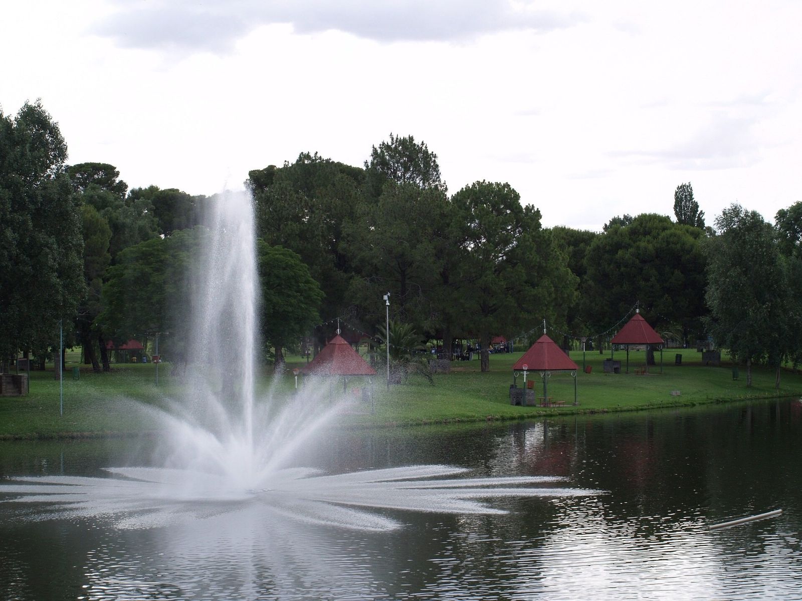 Bloemfontein Lotnisko: Wynajem samochodów